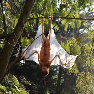 Bat