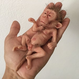little baby macaque Bild 3