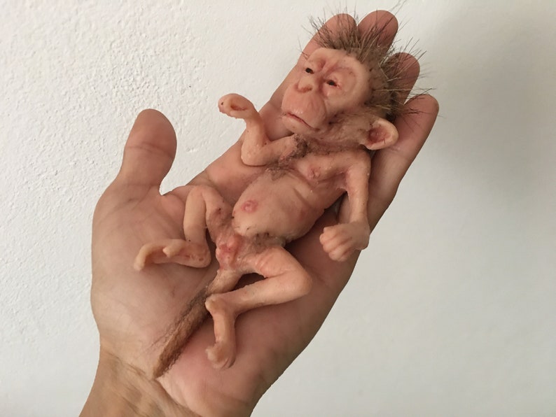 little baby macaque Bild 3