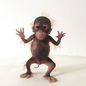 baby orangutan