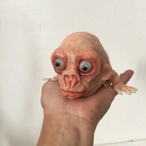サラグの生き物