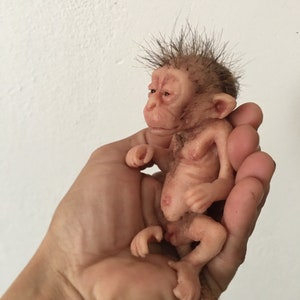 little baby macaque Bild 5