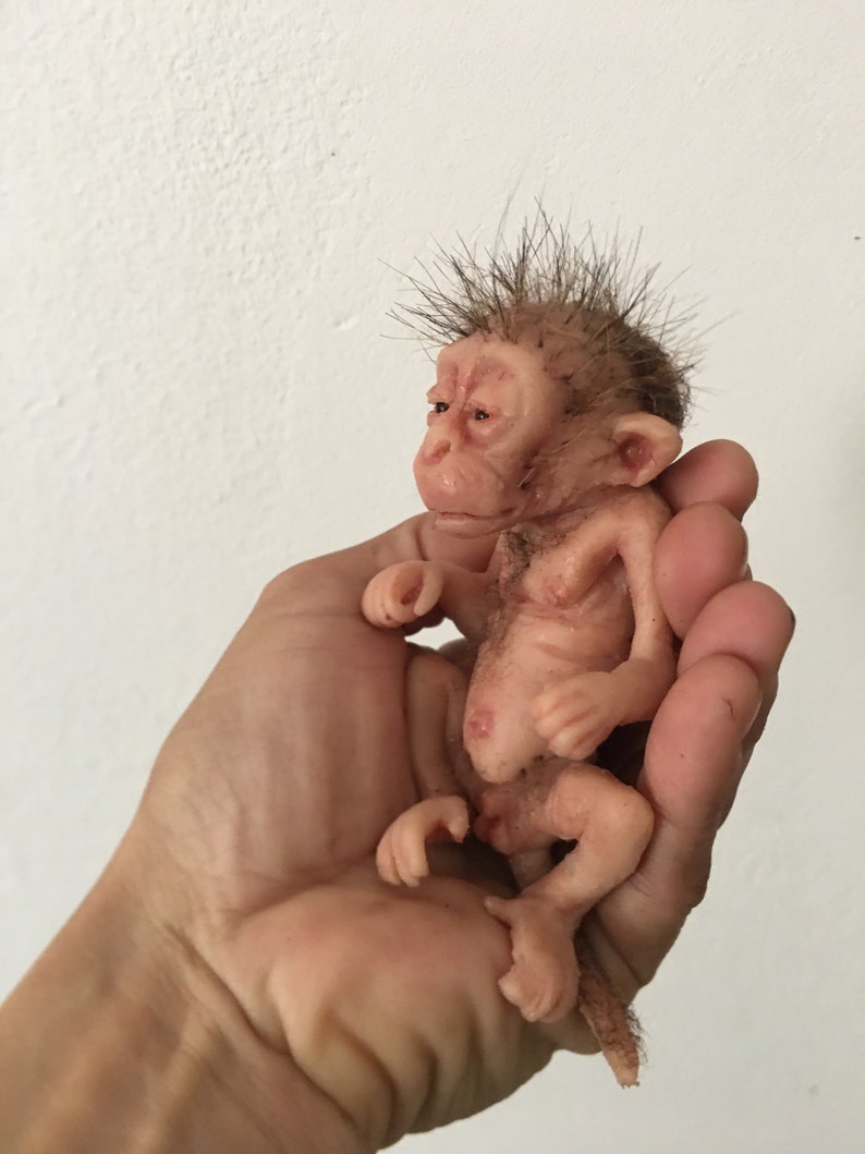 little baby macaque Bild 5