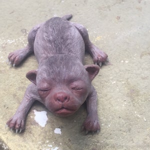 May include: A small, gray, sleeping puppy figurine with closed eyes and a pink nose.