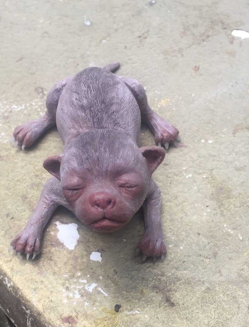 May include: A small, gray, sleeping puppy figurine with closed eyes and a pink nose.