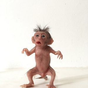 macaque baby