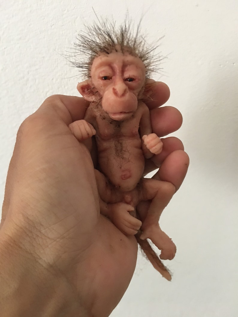 little baby macaque Bild 4