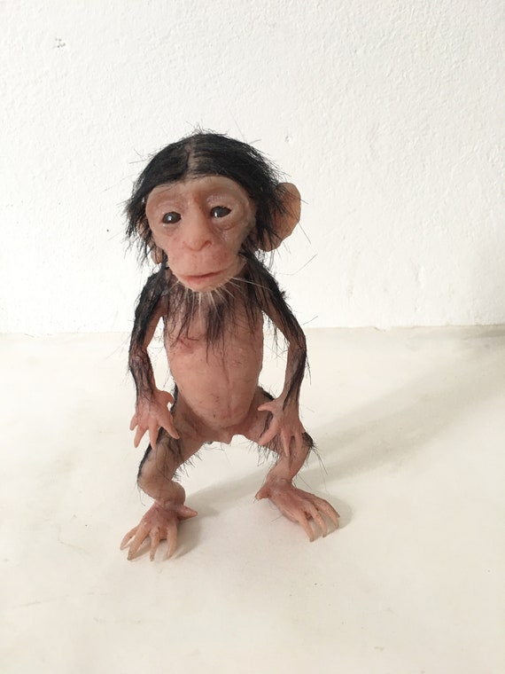 baby chimpanzees mini