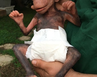 baby chimpanzees