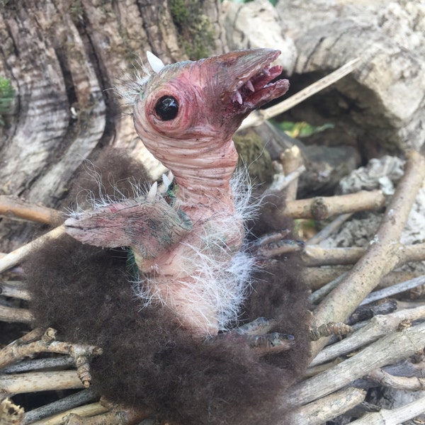 Prehistoric Baby Condor