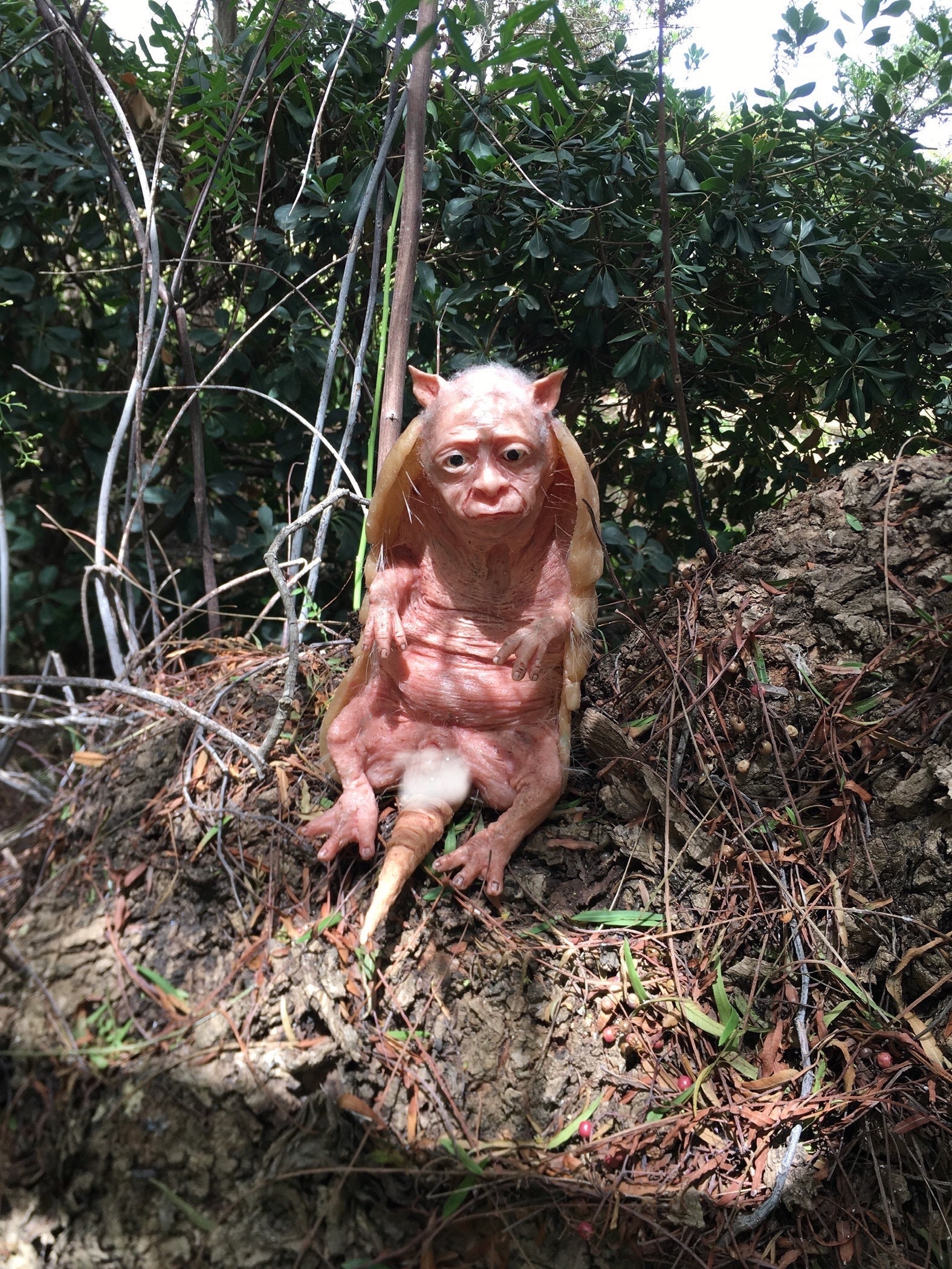 Handcrafted Armadillo Hybrid Man Silicone Sculpture | Unique Fantasy Creature Collectible | Detailed Silicone Artwork for Collectors