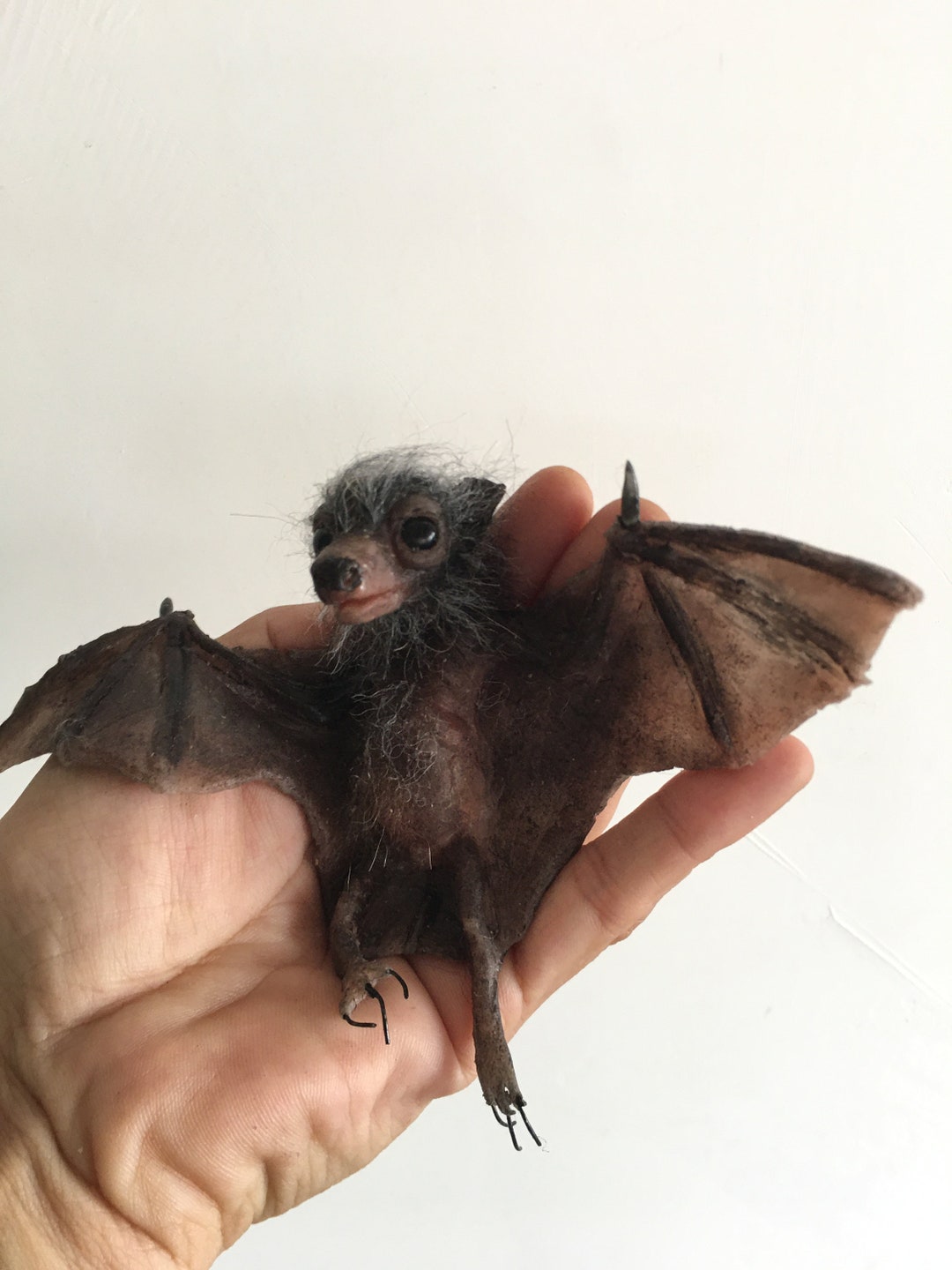 Chauve-Souris Secret du Bonheur