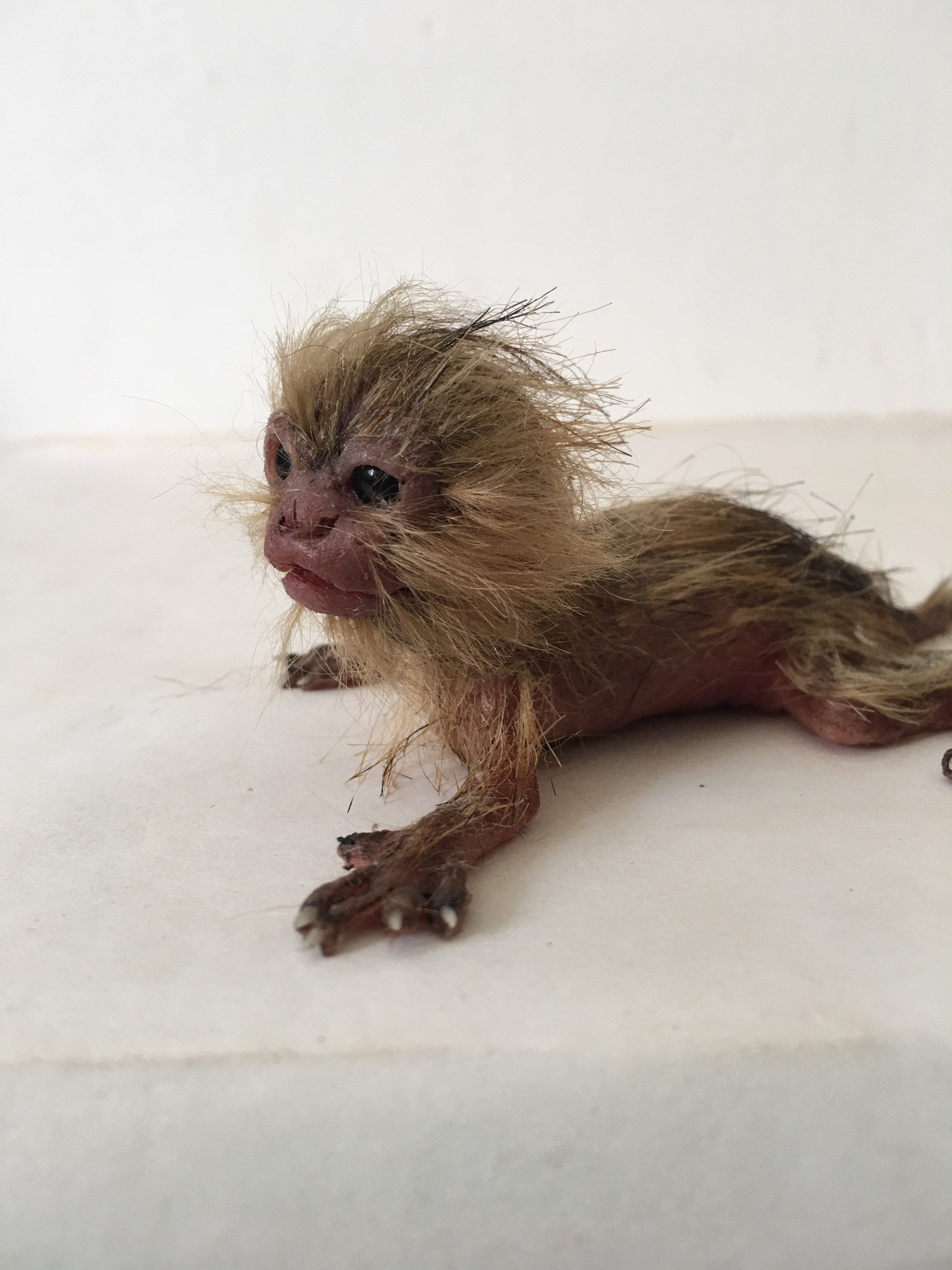 Handcrafted Baby Marmoset Monkey Silicone Sculpture | Realistic Hyper