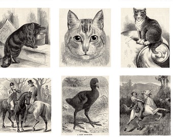 1899,Antique,Prints,Duck Lagoon,Wild Horses,Little Bear Objects,Stick To Him Micky,Mother Hen,Fiddle Scaped Dance Tunes,Wall Art,Chatterbox