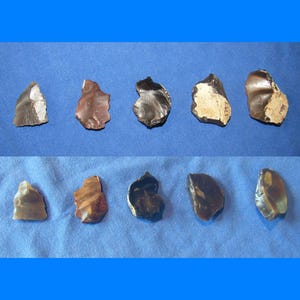 May include: Ten individual flint flakes arranged in two rows of five. These stones exhibit various shades of brown, gray, and black with smooth, glossy surfaces and sharp, irregular edges. Some pieces show lighter, matte-textured patches.