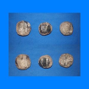May include: Six smooth, round, dark gray stones with white and brown markings. The stones are arranged in two rows of three on a blue background.