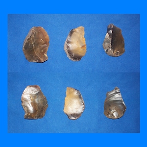 May include: Six brown and tan flint arrowheads on a blue background. The arrowheads are various shapes and sizes. Some have numbers written on them.