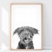 see more listings in the Retratos personalizados de mascotas section