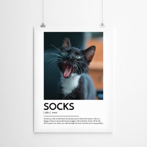 Peut inclure: Un chat noir et blanc aux yeux verts bâille. Le chat regarde vers le haut et a une tache blanche sur la poitrine. L'image est un poster avec le mot "SOCKS" en lettres noires grasses et une définition du mot "socks" en lettres noires plus petites.