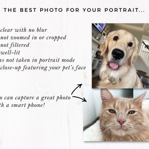 Custom Pet Portrait from Photo in Peekaboo Print Style. Perfect for Cat & Dog Lovers or Pet Parents. Give as Pet Sympathy Gift. image 10