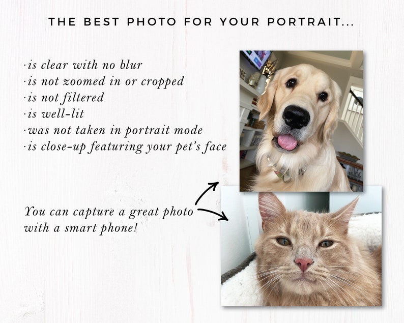 Custom Pet Portrait Dog Portrait Cat Portrait Portrait from Photo Peekaboo Pet Pet Memorial Gift Pet Art Pet Art Print image 10