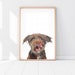 Custom Pet Portrait | Dog Portrait | Cat Portrait | Portrait from Photo | Peekaboo Pet | Pet Memorial Gift | Pet Art | Pet Art Print 