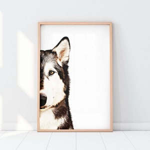 Custom Pet Portrait | Dog Portrait | Cat Portrait | Portrait from Photo | Peekaboo Pet | Pet Memorial Gift | Pet Art | Pet Art Print