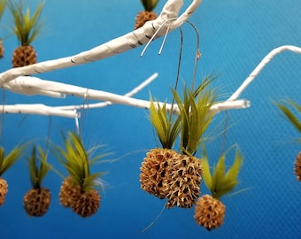 Maui pineapple ornaments