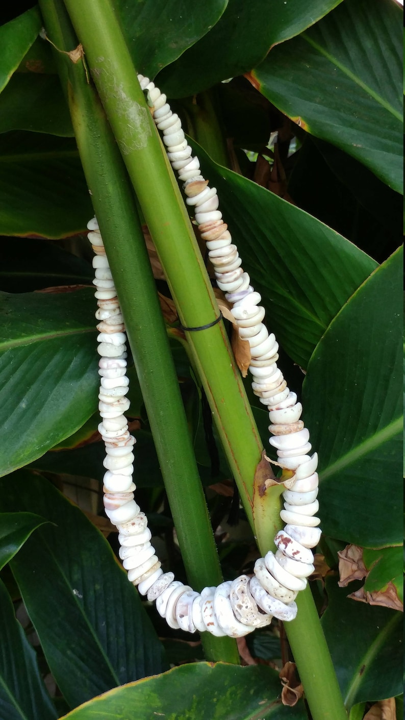 PUKA Shell Necklace From Maui - Etsy