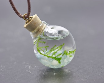 Underwater world moss aquamarine leather strap real aquatic plant necklace aquarium birthstone aquamarine birthstone jewelry