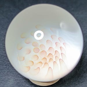 Peut inclure: Un bol en verre transparent avec un motif en spirale de formes en goutte d'eau de couleur pêche. Le bol a une forme arrondie et une petite base de couleur claire. Le motif est centré à l'intérieur du bol.