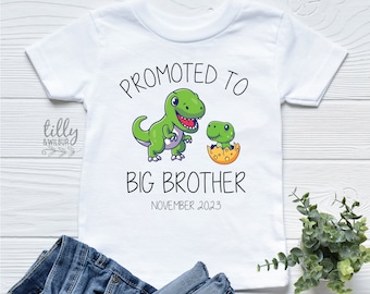 Big Brother T-Shirt, Promoted To Big Brother T-Shirt, Big Brother Shirt, I'm Going To Be A Big Brother, Pregnancy Announcement, Dinosaur Tee