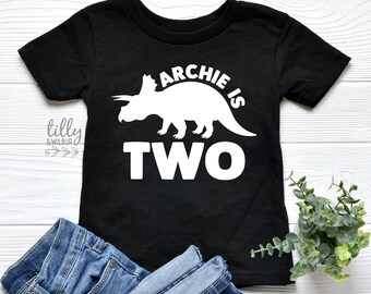 Two T-Shirt, Triceratops T-Shirt, Two Birthday T-Shirt, 2nd Birthday T-Shirt, 2nd Birthday Shirt, Dinosaur Party Theme, Dinosaur Birthday