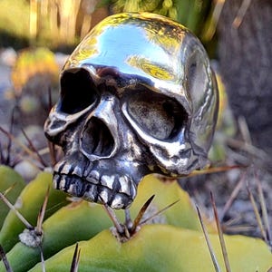 May include: A polished silver-toned metal ring shaped like a detailed human skull. The skull features deep eye sockets, a defined nasal cavity, and visible teeth. The metallic surface reflects light, highlighting the intricate contours of the cranium.