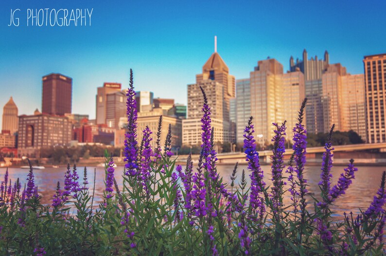 Pittsburgh Flowers Cityscape flowers downtown dawn dusk Etsy