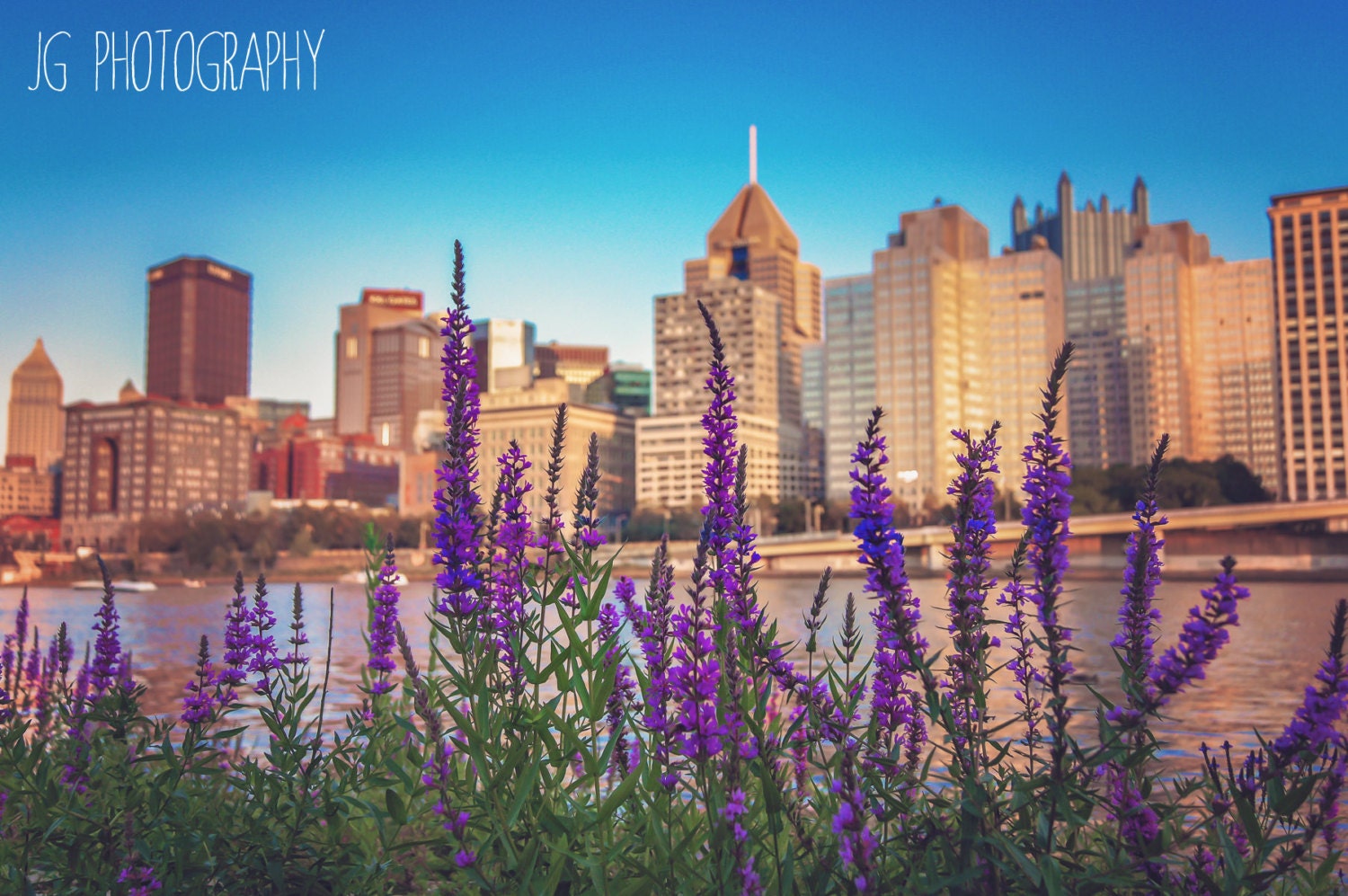 Pittsburgh Flowers Cityscape flowers downtown dawn dusk Etsy