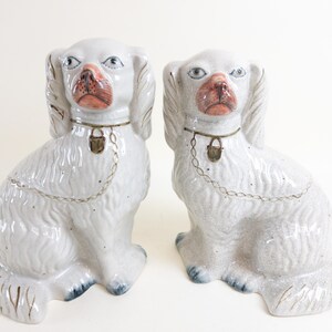 Staffordshire Style Para psów - Cavalier King Charles Spaniel Mantle Dogs