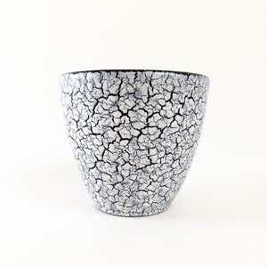 May include: A white ceramic planter with a black rim and a crackled glaze.