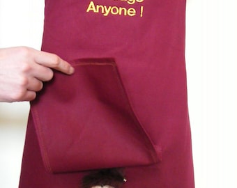 Novelty Embroidered Apron, Secret Willy, Adult Humor Gag Gift  6 slogans by Chrisym made in UK