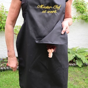 BBQ Secret Willy apron  mens  , Kitchen ,novelty  sexy  embroidered with 6 different slogans 6 colors by Chrisym Uk made