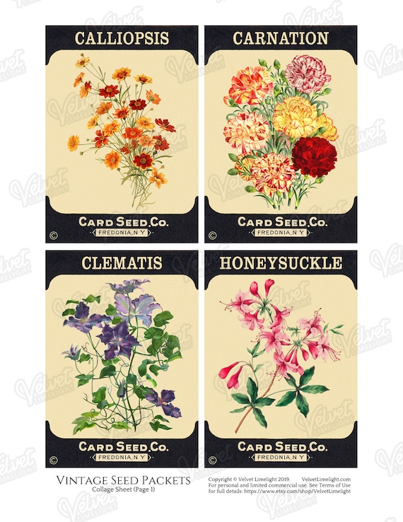 Vintage Flower Seed Packets Set 1 Commercial Use Printable JPG Digital  Collage Sheet and Individual PNG Images 