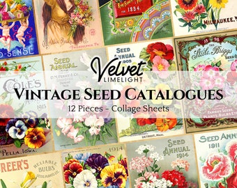 VINTAGE SEED CATALOGUES Set of 12 Covers Printable Floral Flowers Gardening Ephemera Antique Collage Sheets Digital Download 300dpi Jpeg