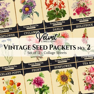 VINTAGE SEED PACKETS No.2 - Set of 12 Vintage Printable Floral Flowers Gardening Ephemera Antique Collage Sheets Digital Download 300dpi Jpg