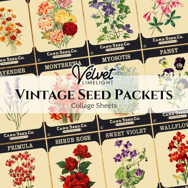 VINTAGE SEED PACKETS Set of 12 Vintage Printable Floral Flowers Gardening Ephemera Antique Collage Sheets Digital Download 300dpi Jpeg