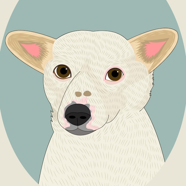 Custom Pet Portrait, Minimalist Dog Art, Pet Memorial (Digital File or Print)