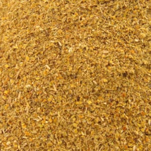 Symplocos Plant Mordant 500 gram (Symplocos cochinchinensis)