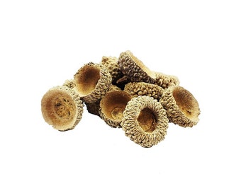 Oak Valonia Extract 100 gram (Oak Acorn Cups)