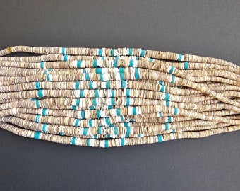 Graduated Voluta with combination