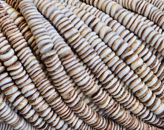 Black Olive shell beads heishi 6-7 mm straight