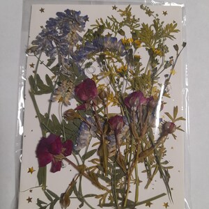 Conjunto de flores prensadas secas, arte con flores prensadas, arte para enmarcar, creación de marcapáginas, creación de tarjetas de felicitación, plantas reales secas, flores y hojas.